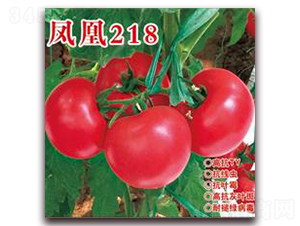 �P��218-�۹����ѷN��-�ʺ̷N�I(y��)