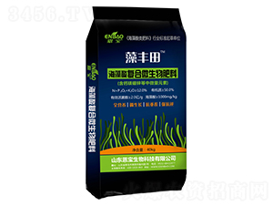 �������(f��)��΢�����-���S��-����