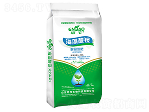 �������@2̖-����