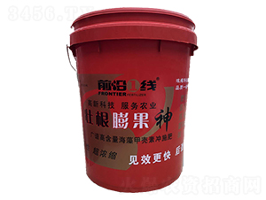 �Ѹ������-ǰ�طʘI(y��)