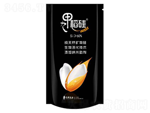 �ż׵���-�ż��r(n��ng)�I(y��)