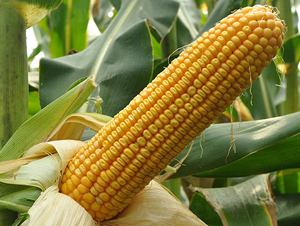 �|��112-���׷N��-�|��