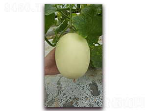 ���y��2̖(h��o)-��ϷN��-�S�ǷN�I(y��)