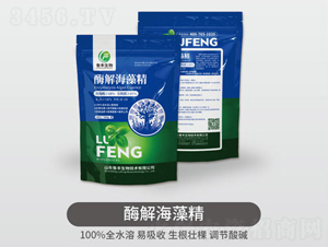 ø�⺣�徫-���S��Դ��