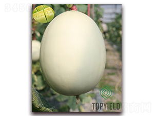 �y��1̖(h��o)-��ϷN��-�S�ǷN�I(y��)