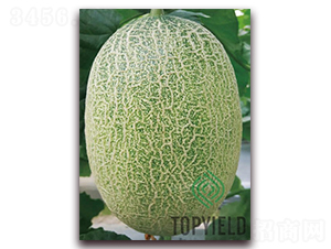 �S��29-��ϷN��-�S�ǷN�I(y��)