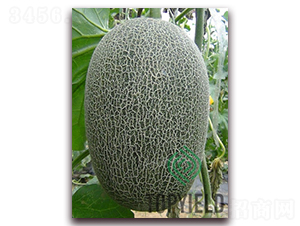 �S��25-��ϷN��-�S�ǷN�I(y��)