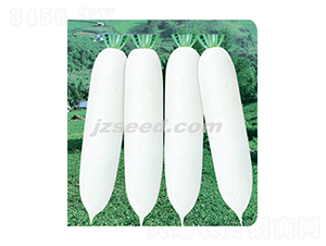 �y��707-�}���N��-�F(xi��n)���N�I(y��)