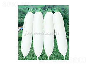 ѩ���R-�}���N��-�F(xi��n)���N�I(y��)