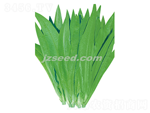 ̩������o(w��)��������-�����˷N��-�F(xi��n)���N�I(y��)