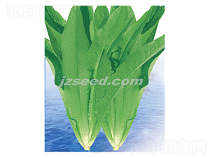 ���߮a(ch��n)����-�����˷N��-�F(xi��n)���N�I(y��)