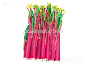 ����ʮ̖(h��o)-��޷�N��-�F(xi��n)���N�I(y��)