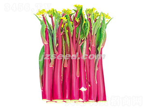 ����ʮһ̖(h��o)-��޷�N��-�F(xi��n)���N�I(y��)