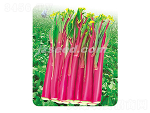 ��ݿ��̖(h��o)-��޷�N��-�F(xi��n)���N�I(y��)