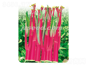 ��ݿ��̖(h��o)-��޷�N��-�F(xi��n)���N�I(y��)