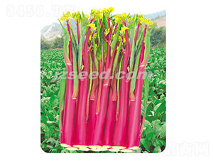 ��ݿһ̖(h��o)-��޷�N��-�F(xi��n)���N�I(y��)