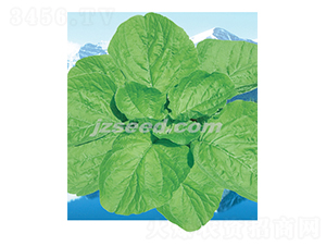 ̩��(gu��)���S�{��-�{�˷N��-�F(xi��n)���N�I(y��)