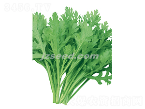 �h�(y��ng)���~����-����N��-�F(xi��n)���N�I(y��)