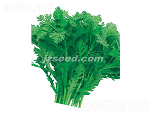 ���㻨�~����-����N��-�F(xi��n)���N�I(y��)