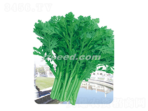 �оջ��~����-����N��-�F(xi��n)���N�I(y��)