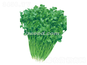 �����������ͳ�ܾݴ-ܾݴ�N��-�F(xi��n)���N�I(y��)