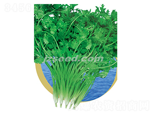 �ă�(y��u)�ļ��ͳ�ܾݴ-ܾݴ�N��-�F(xi��n)���N�I(y��)