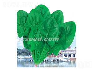 �����_-���˷N��-�F(xi��n)���N�I(y��)