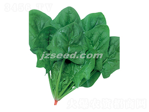 ���漱���h-���˷N��-�F(xi��n)���N�I(y��)