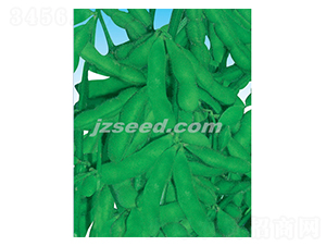 ���rһ̖-ë���N��-�F(xi��n)���N�I(y��)