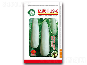 �|���S19-6-��ϷN��-�|���S