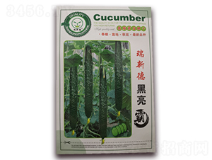 ���µº�����-�S�ϷN��-�|���S