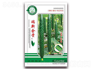 ���½��F-�S�ϷN��-�|���S