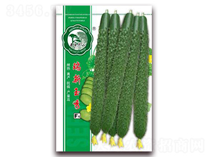 ��������-�S�ϷN��-�|���S