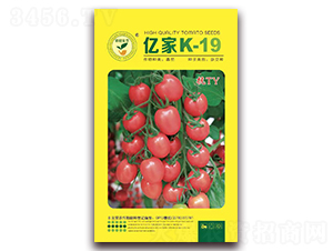 �|��k19-���ѷ۹��N��-�|���S