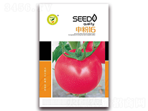 ���16-���ѷ۹��N��-�|���S