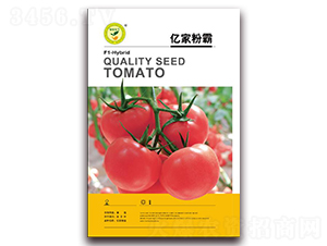 �|�ҷ۰�-���ѷ۹��N��-�|���S