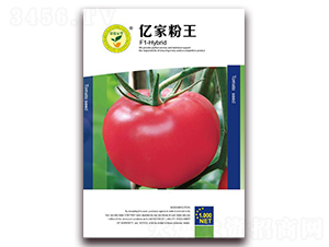 �|�ҷ���-���ѷ۹��N��-�|���S