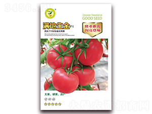 �M������-���ѷ۹��N��-�|���S