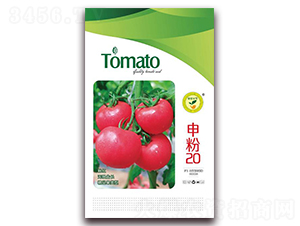 ���20-���ѷ۹��N��-�|���S