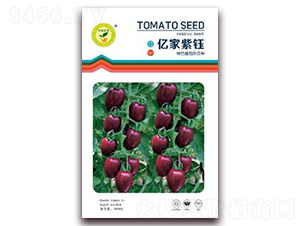 �|�����-���Ѽt���N��-�|���S