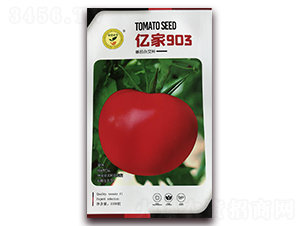 �|��903-���Ѽt���N��-�|���S