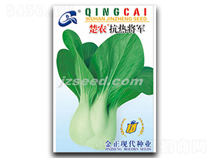 ���r���ጢ܊-С�ײ˷N��-�F(xi��n)���N�I(y��)