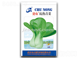 ���r�������-С�ײ˷N��-�F(xi��n)���N�I(y��)