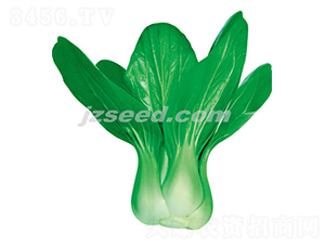 ���ڶ�̖-С�ײ˷N��-�F(xi��n)���N�I(y��)