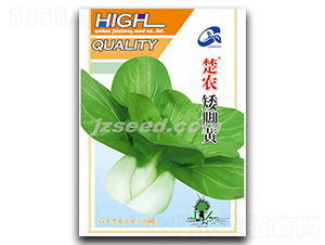 ���r���_�S-�ײ˷N��-�F(xi��n)���N�I(y��)