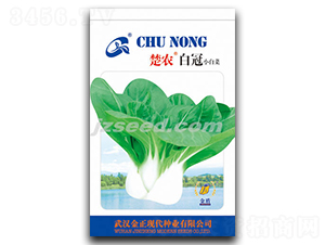 ���r(n��ng)�׹�-С�ײ˷N��-�F(xi��n)���N�I(y��)