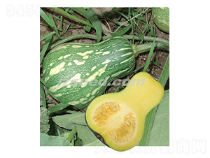 ���һ̖-�ϹϷN��-�F(xi��n)���N�I(y��)