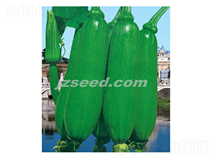 �n����ζ-�ϹϷN��-�F(xi��n)���N�I(y��)