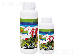 �S���-��ػ���