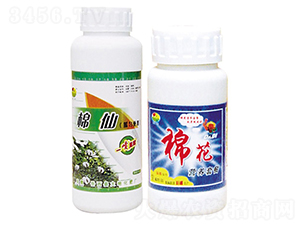 ���ɠI�B(y��ng)�ײ�-��ػ���